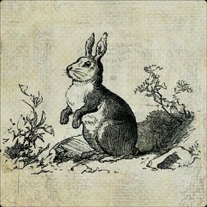 Meet your Posher, Kerri